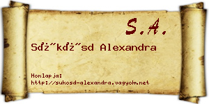 Sükösd Alexandra névjegykártya